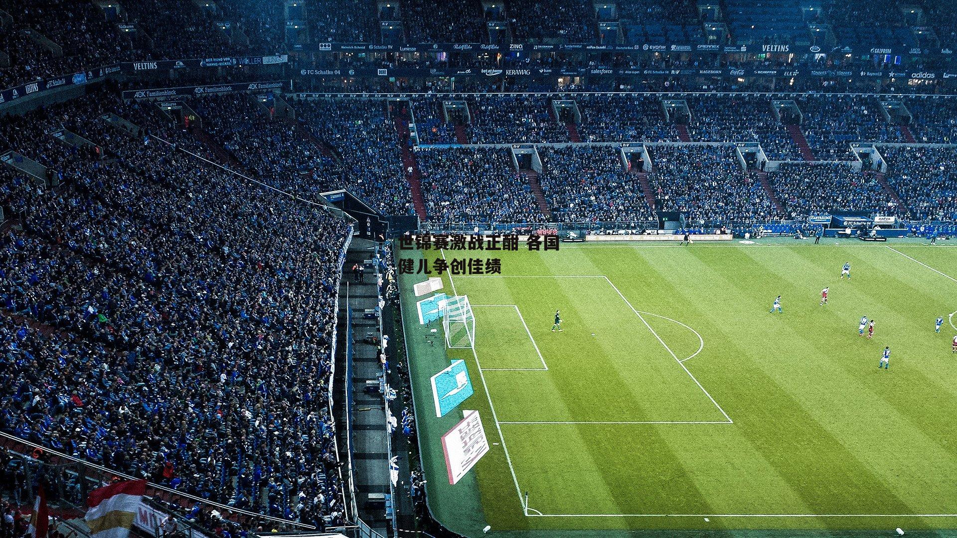 世锦赛激战正酣 各国健儿争创佳绩