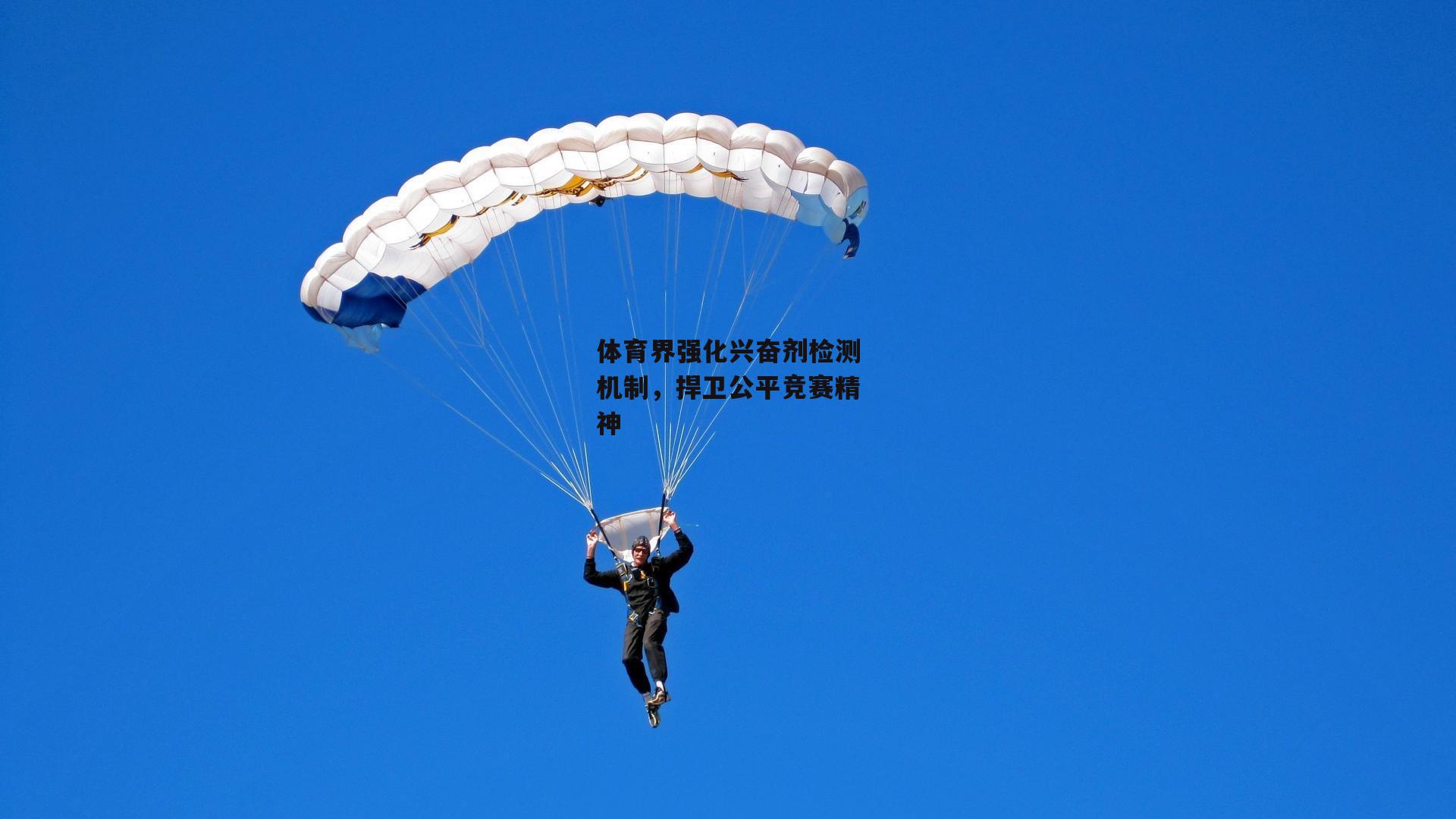 体育界强化兴奋剂检测机制,捍卫公平竞赛精神