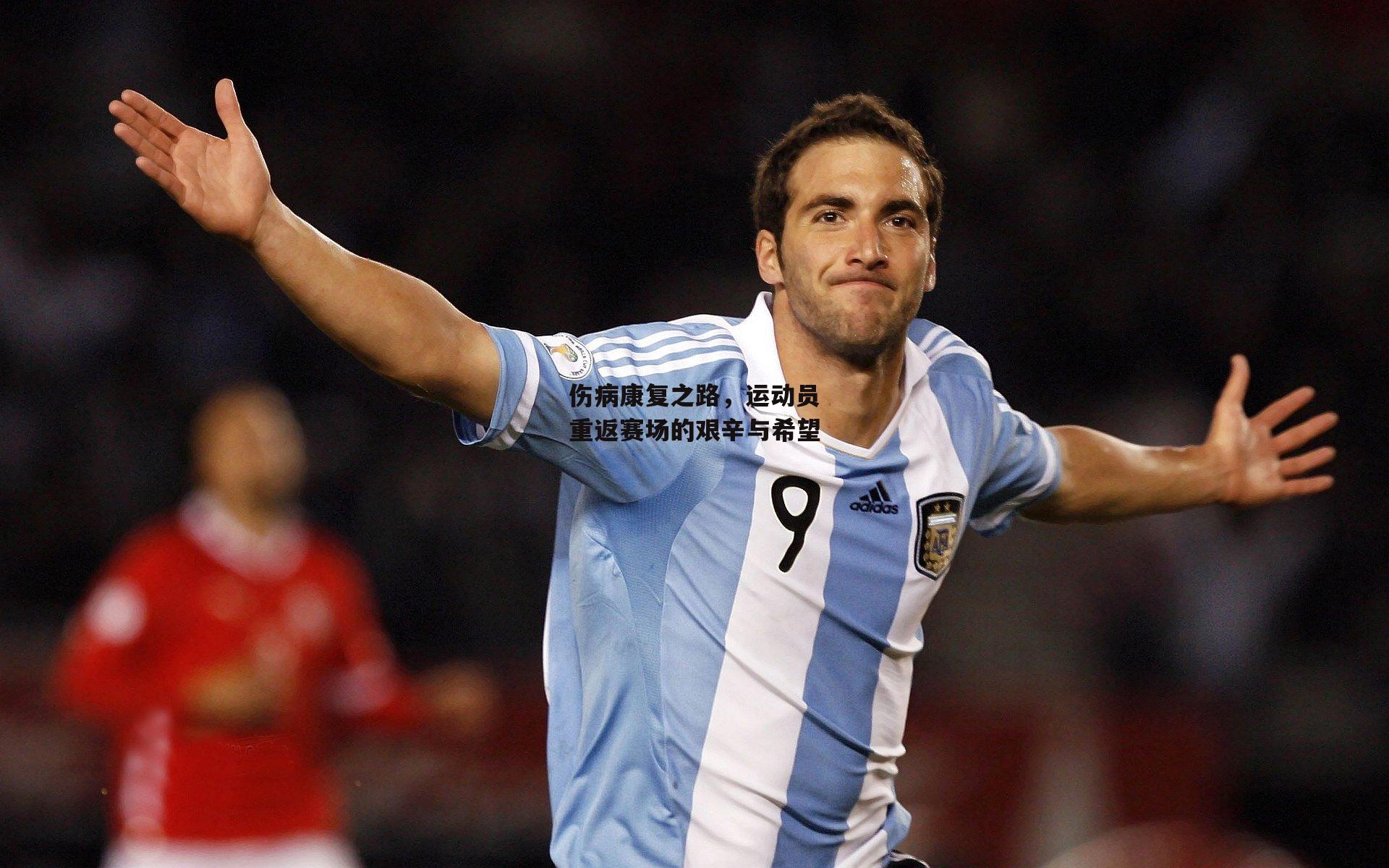 伤病康复之路，运动员重返赛场的艰辛与希望